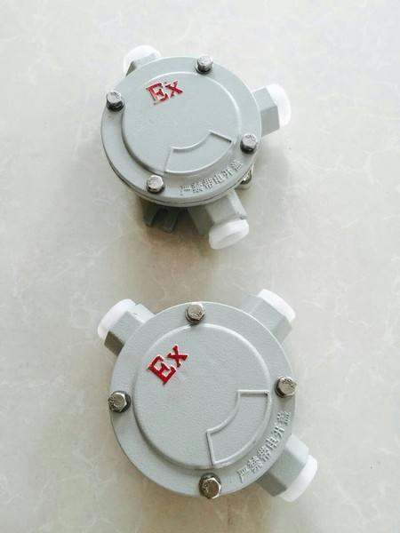 隔爆型防爆接线盒 河北省贸易商的优选产品目录指南